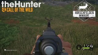 Hirschfelden Corzo y Ciervo Común  TheHunter Call of the Wild [upl. by Ahsiemal]