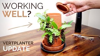 Is the hydroponic terraplanter working well Vertplanter 3 month update [upl. by Neelyak]