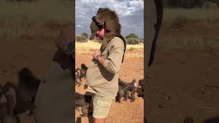 All aboard the baby baboon express 🤣 animals animallover rescueanimals wildlife africa [upl. by Emia]