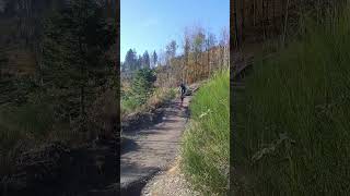 Scrubing in winterberg😮‍💨😮‍💨 mtb scrub viral new epic rideordie bike bikelife biking bike [upl. by Lenod]