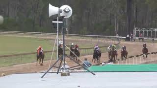 Wondai 20241019 Race 4 [upl. by Fleming108]