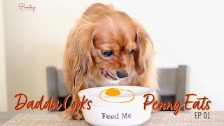 How To Cook Eggs For Dogs  Healthy Homemade Food Recipe 🍳😋  Cavalier King Charles Spaniel [upl. by Intruoc]