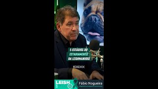 ✳️ Dr FÁBIO NOGUEIRA quotDiagnóstico procurando a Leishmaniaquot 🟢 IDEXX Leish Em Foco [upl. by Tedman1]