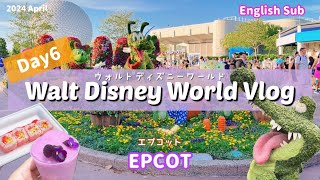 【ディズニーワールドVlog】エプコット Epcot Day6English Sub [upl. by Aram]