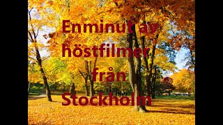 En minut av höstfilmer från Stockholm [upl. by Hylan]