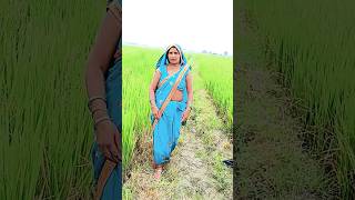 Reena Rajbhar ka new video songsortsvideo [upl. by Larred]