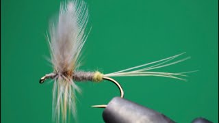 LADY BEAVERKILL CLASSIC CATSKILL DRY FLY  FLY TYING TUTORIAL [upl. by Vincenty]