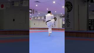 Yukan Kai Karate Do Sanseru Kata by Davy Wijaya Sensei Goju Ryu Seiwakai [upl. by Eadrahs96]