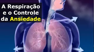 Como Respirar Corretamente e o Controle da Ansiedade [upl. by Dammahom]