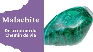 Malachite Bracelet Chemin de vie  Explication Signification Comment l interpréter en Lithothérapie [upl. by Nakah]