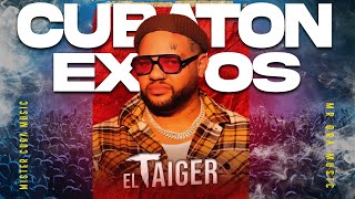 MIX Cubaton El Taiger Exitos [upl. by Marci]