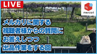 【メルカリ雑談ライブ】質問にお答えしながら出品作業をしていく回！おしゃべりメインかも？どしどしチャットください！【9月7日2205まで】 [upl. by Richards]