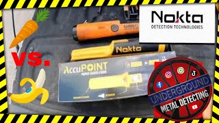 Nokta Accupoint Garrett ProPointer AT  Pinpointer review and In Depth Comparison  🍌 vs 🥕 [upl. by Tessi]