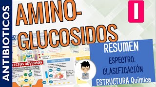 AMINOGLUCOSIDOS RESUMEN CLASIFICACIÓN Mecanismo de Acción ESPECTRO Antibacteriano  PARTE 1 [upl. by Ezitram]