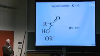 34 Acids and Acid Derivatives [upl. by Ranie]