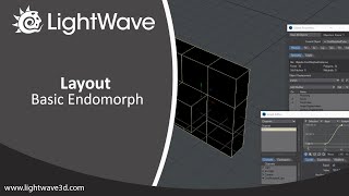 Lightwave 3D Basic Endomorph [upl. by Liauqram520]