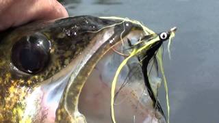 gatineau river walleye gracefield [upl. by Tigges426]