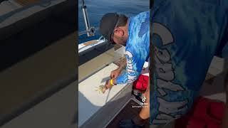 Kalamar Nasıl Takılır fishing balik balıkavıvideoları fish [upl. by Aleihs]