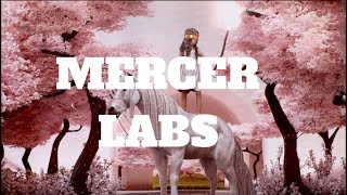 MERCER LABS NYC  Samotsaring Vlog newyorkcity mercerlabs [upl. by Pachton]