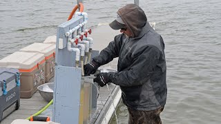 Walleye Spawning on Lake Sakakawea 2024  NDGF  05022024 [upl. by Mendelson740]