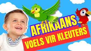 Voëls kleuters lami afrikaans [upl. by Rahal205]