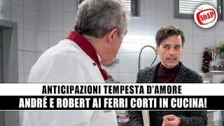 Tempesta d’Amore Anticipazioni André e Robert ai Ferri Corti [upl. by Nylzor494]