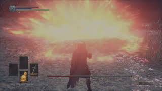 Comment battre l ame des cendres Dark souls 3 [upl. by Oicam]