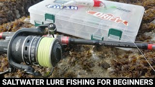 SALTWATER LURE FISHING FOR BEGINNERS  WHERE TO START SEA FISHING UK [upl. by Ireva989]