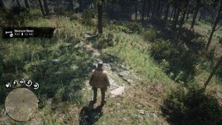 Red Dead Redemption 2  Heartlands Abandoned Shack Dinosaur Bone 6 of 30 [upl. by Kaasi]