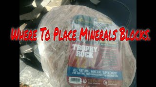 How to Use Mineral Blocks to Attract Whitetail Deer  Trophy Rock [upl. by Yelime]