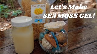 DIY Sea Moss Gel Making Sea Moss Gel [upl. by Bergin25]