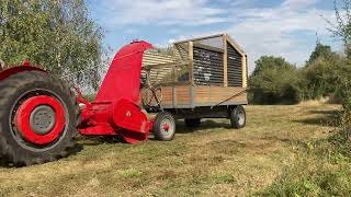 MF 740 Forage Harvester at Work [upl. by Hgierb]