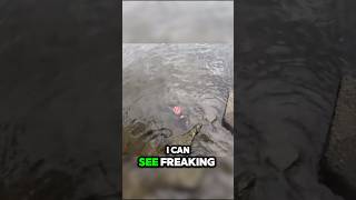 FISHING GONE WRONG 🤮 Copscalled shorts fishing I’m [upl. by Tezzil632]