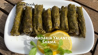 Ελλ ΥποτDolmadakia Yalantzi  Sarma Stuffed Vine Leaves Ντολμαδάκια Γιαλαντζί Σαρμαδάκια Ε39 [upl. by Eliam415]