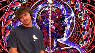 Tool  Lateralus REACTIONREVIEW [upl. by Ahsaekal30]