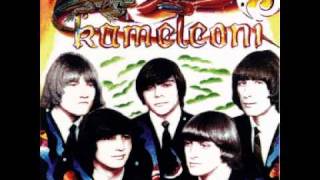 Kameleoni  With A Girl Like You The Troggs cover [upl. by Eixam]