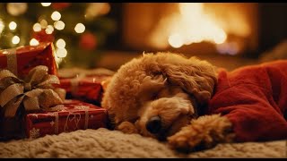 Camino Accogliente e Ronzii Morbidi di Cane Barboncino  Rilassati in Tranquilla Vigilia di Natale 🎄 [upl. by Yesnek]