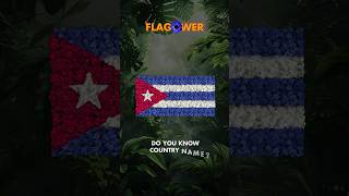 Countries Flag but Flower comparison flags flowers [upl. by Richel]