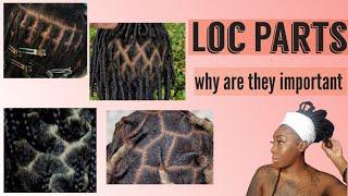 LOC PARTSWHATS THE DIFFERENCE why are they important [upl. by Nellac]