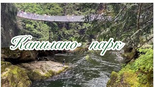 КАНАДА🇨🇦 ВИСЯЧИЙ МОСТ КАПИЛАНО в CAPILANO RIVER REGIONAL PARK [upl. by Marlie]