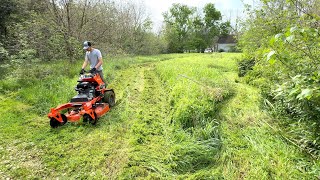 LOCAL LAWN GUYS wouldnt even THINK about taking on this job [upl. by Vail]