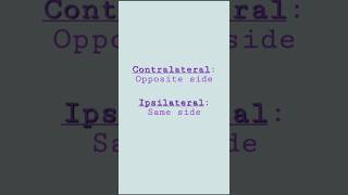 Contralateral vs Ipsilateral ytshorts shorts [upl. by Pul]