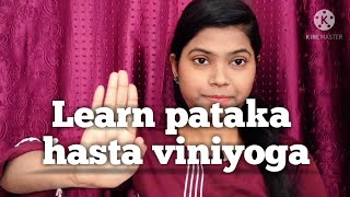 Learn Pataka Hasta Viniyoga  Single Hand Gesture In Bharatnatyam  for Beginners [upl. by Anirtek]