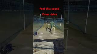 Cover drive cricket shortsfeed viralvideo shorts ipl trending [upl. by Atiraj]