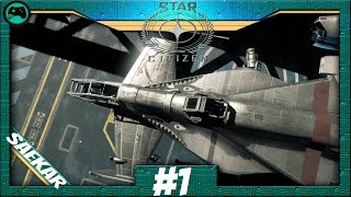 Star Citizen 1  Persistentes Universum  Lets Play germandeutsch [upl. by Nomor]