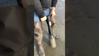 How To Dig Razor Clams with A Clam Gun pnw viral washington razorclams [upl. by Nodnrb156]