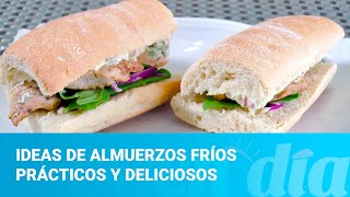 Ideas de almuerzos fríos prácticos y deliciosos [upl. by Holofernes]