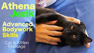 Athena Jezik  Cat amp Kitten Massage Therapy [upl. by Charmane]