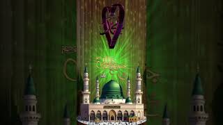 12 Rabi ul avval ki video 🥰🥰☺️🤲 love unfrezzmyaccount please 🙏 [upl. by Nahtnoj]