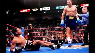 Oscar De La Hoya  Top Knockouts HD [upl. by Allegna]